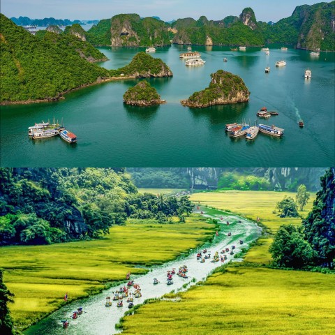 TOur Ninh Bình 1 ngày