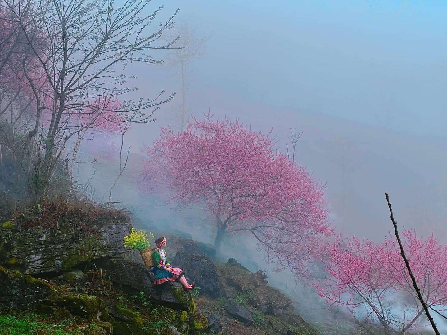 Tour Hà Giang , Tour du lịch Hà Giang